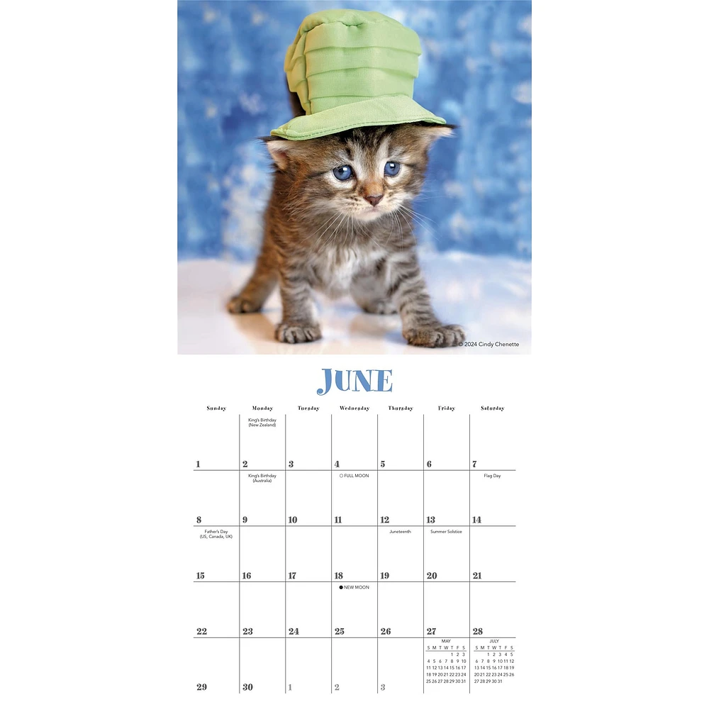 Cats In Hats Mini 2025 Calendar