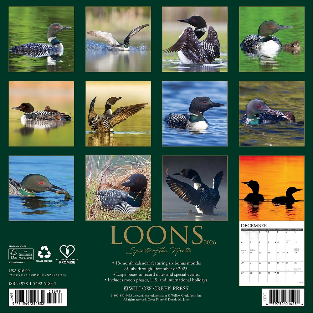 Loons 2026 Wall Calendar - Online Exclusive