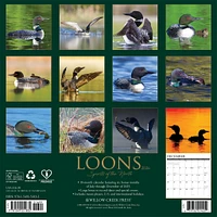 Loons 2026 Wall Calendar - Online Exclusive