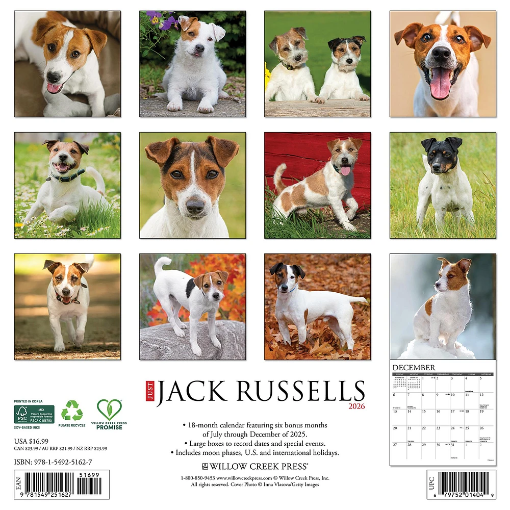 Just Jack Russells 2026 Wall Calendar