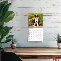 Chiots 2026 Mini Calendar (French)