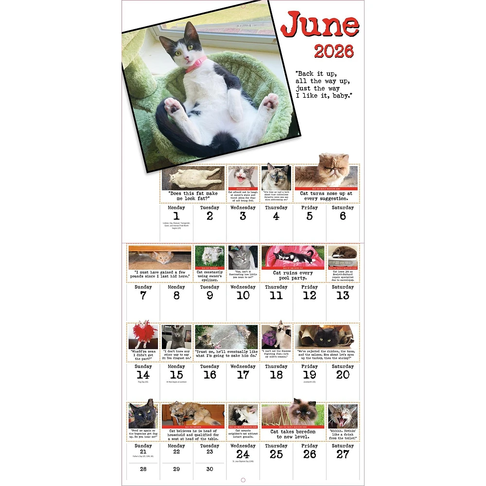 Bad Cat 2026 Wall Calendar - Online Exclusive