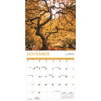 Trees 2026 Wall Calendar