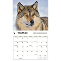World Wildlife Fund Wolves 2026 Wall Calendar