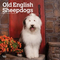 Old English Sheepdogs Wall 2025 Calendar