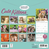 Cute Kittens 2026 Wall Calendar