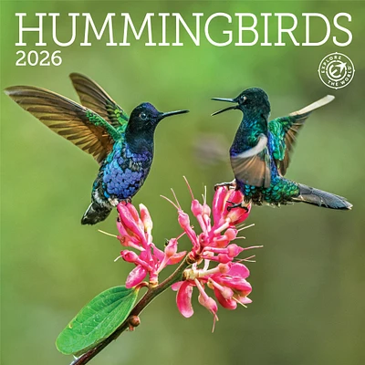 Hummingbirds 2026 Mini Calendar
