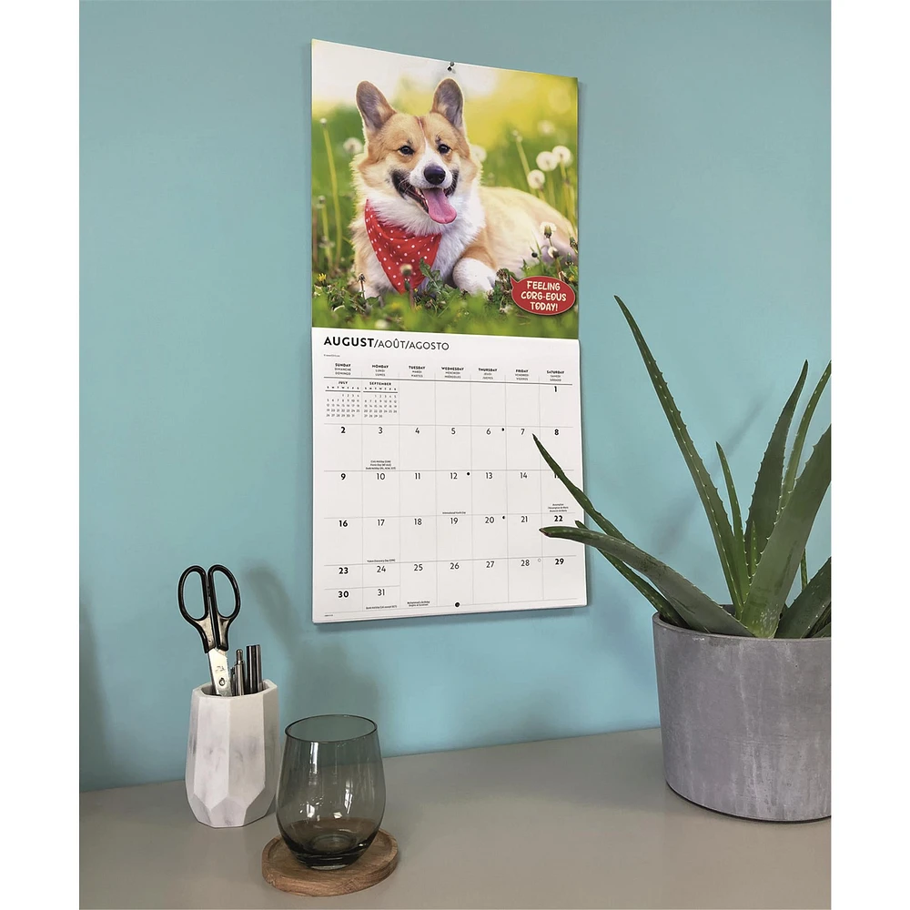 Corgi Capers 2026 Wall Calendar