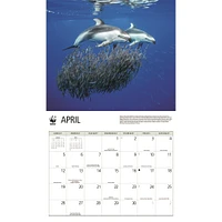 World Wildlife Fund Dolphins 2026 Wall Calendar