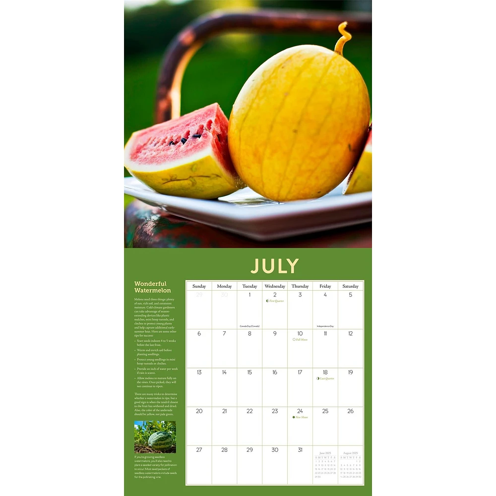 Year Round Vegetable Gardener Wall 2025 Calendar - Online Exclusive