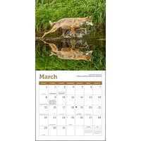 Wolves 2026 Mini Calendar