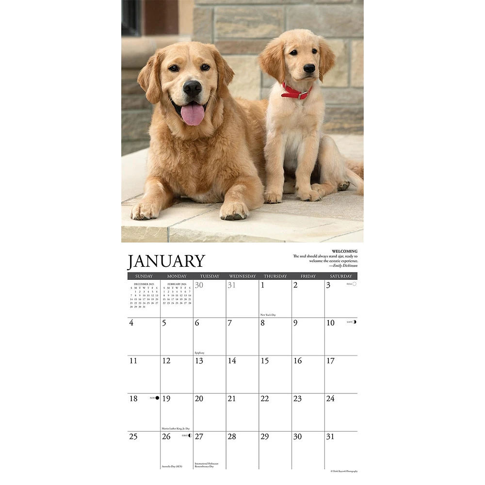 Golden Rules 2026 Wall Calendar