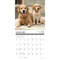Golden Rules 2026 Wall Calendar