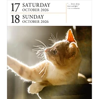 Cat Gallery 2026 Box Calendar
