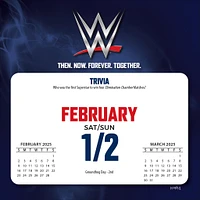 WWE Box 2025 Calendar - Online Exclusive