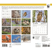 World Wildlife Fund Owls 2026 Wall Calendar