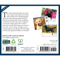 Just Labs 2026 Box Calendar - Online Exclusive