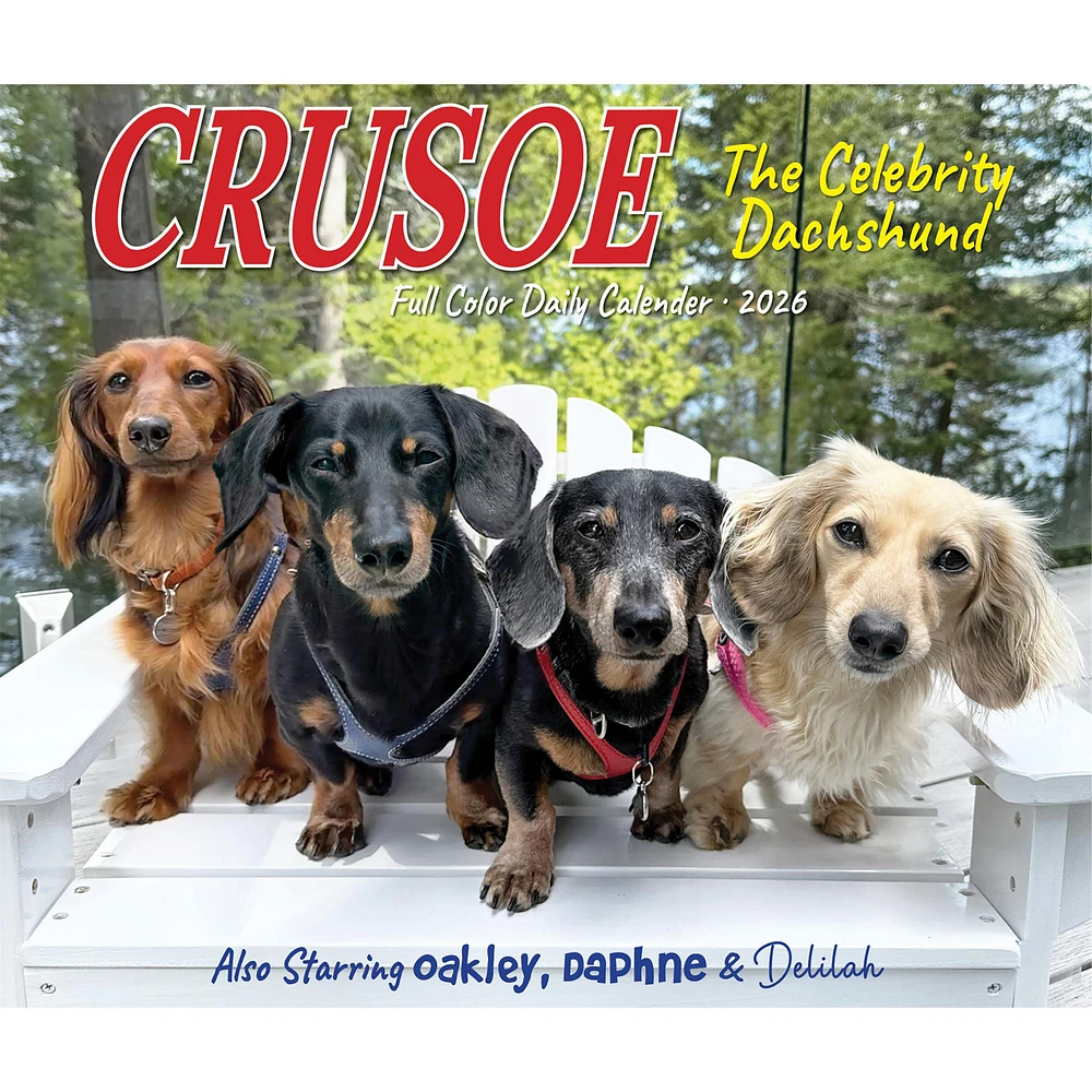 Crusoe The Celebrity Dachshund 2026 Box Calendar - Online Exclusive