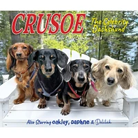 Crusoe The Celebrity Dachshund 2026 Box Calendar - Online Exclusive