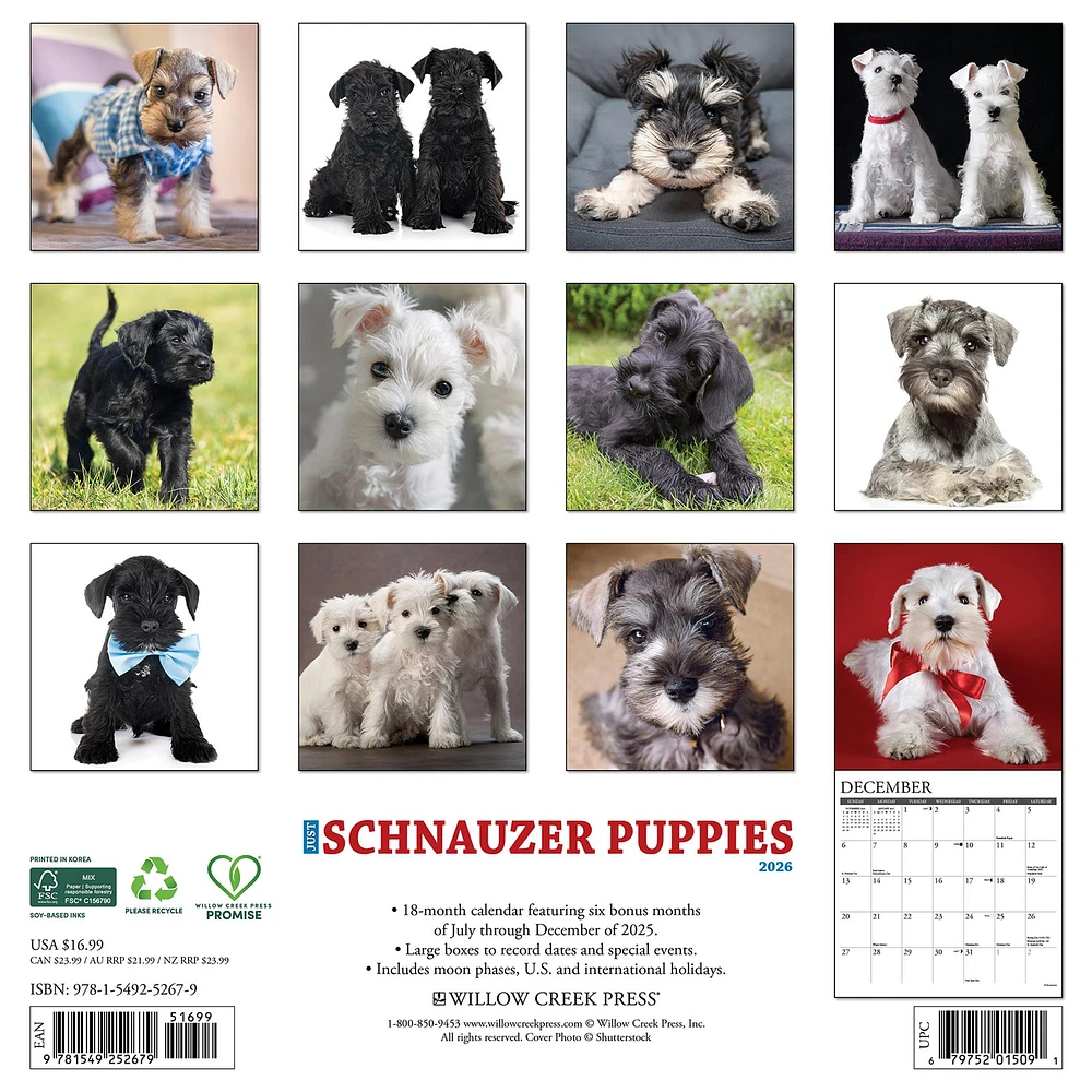 Just Schnauzer Puppies 2026 Wall Calendar