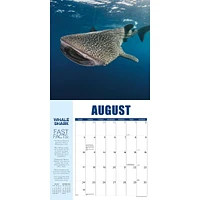 Shark Year Wall 2025 Calendar