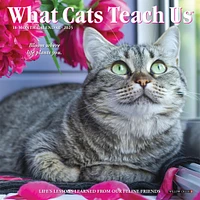 What Cats Teach Us Mini 2025 Calendar