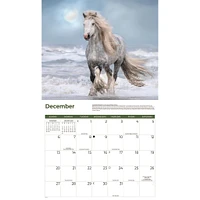 Horses 2026 Wall Calendar