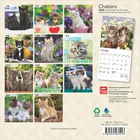 Chatons Mini 2025 Calendar (French)