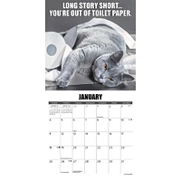 Catastrophe 2026 Mini Calendar