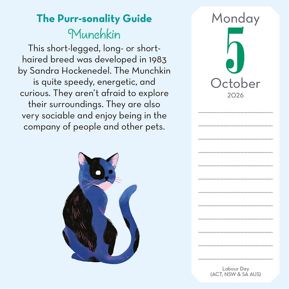 Cat Trivia 2026 Box Calendar