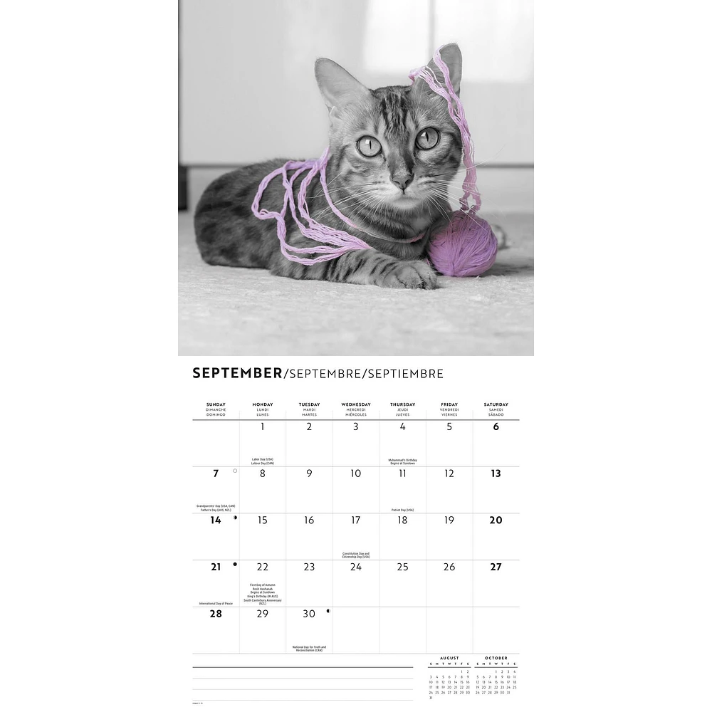 Classic Cats Wall 2025 Calendar