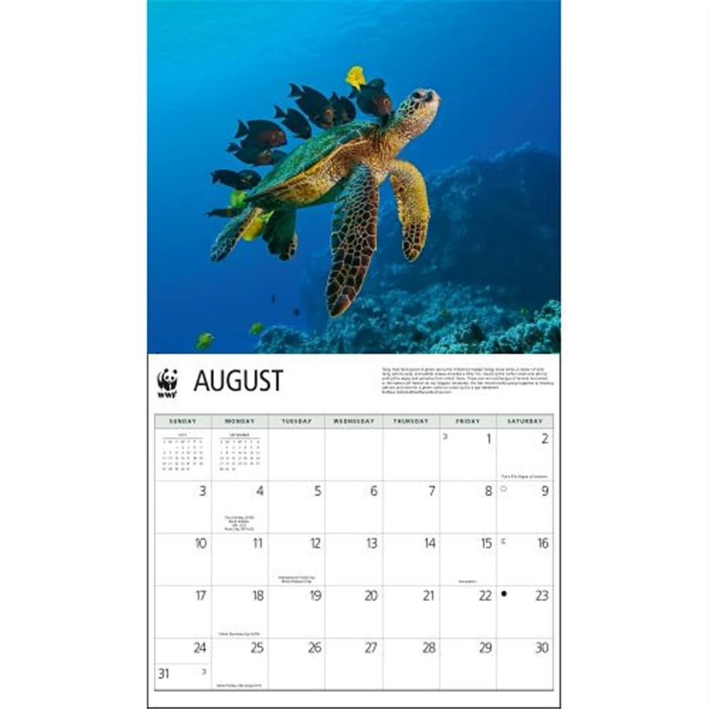 Sea Turtles World Wildlife Fund Wall 2025 Calendar