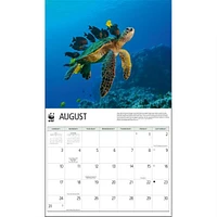 Sea Turtles World Wildlife Fund Wall 2025 Calendar