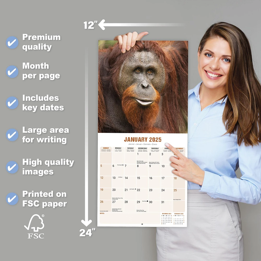 Apes Wall 2025 Calendar - Online Exclusive