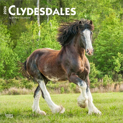 Clydesdales 2026 Wall Calendar - Online Exclusive