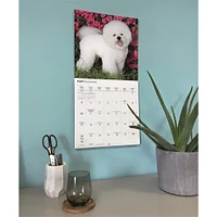 Bichon Frise 2026 Wall Calendar