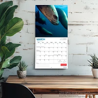 Canadian Geographic Wildlife 2026 Wall Calendar