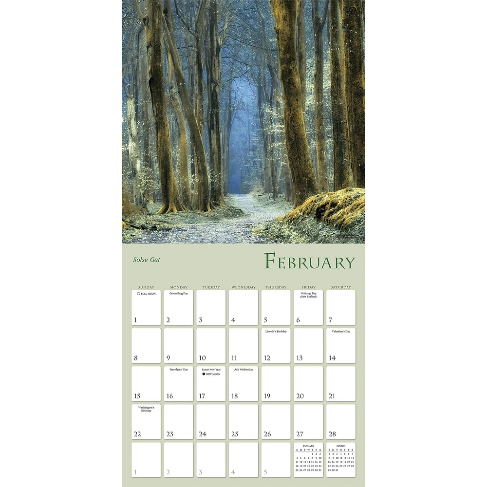 Enchanted Pathways 2026 Wall Calendar