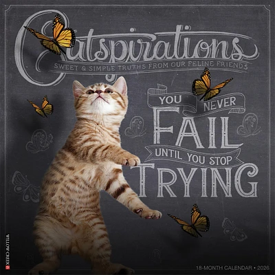 Catspirations 2026 Wall Calendar
