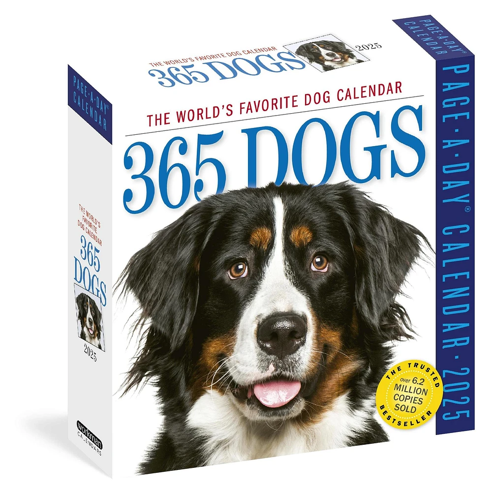 Dogs 365 Box 2025 Calendar