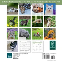 Cats 2026 Mini Calendar