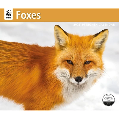 World Wildlife Fund Foxes 2026 Wall Calendar