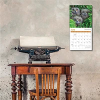 Owls 2026 Mini Calendar