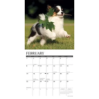Just Papillons 2026 Wall Calendar