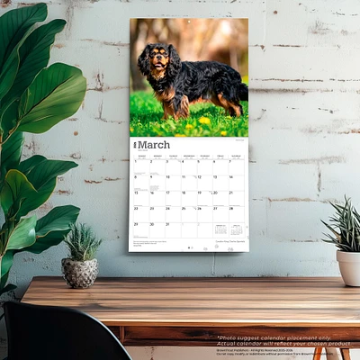 Cavalier King Charles Spaniels 2026 Wall Calendar