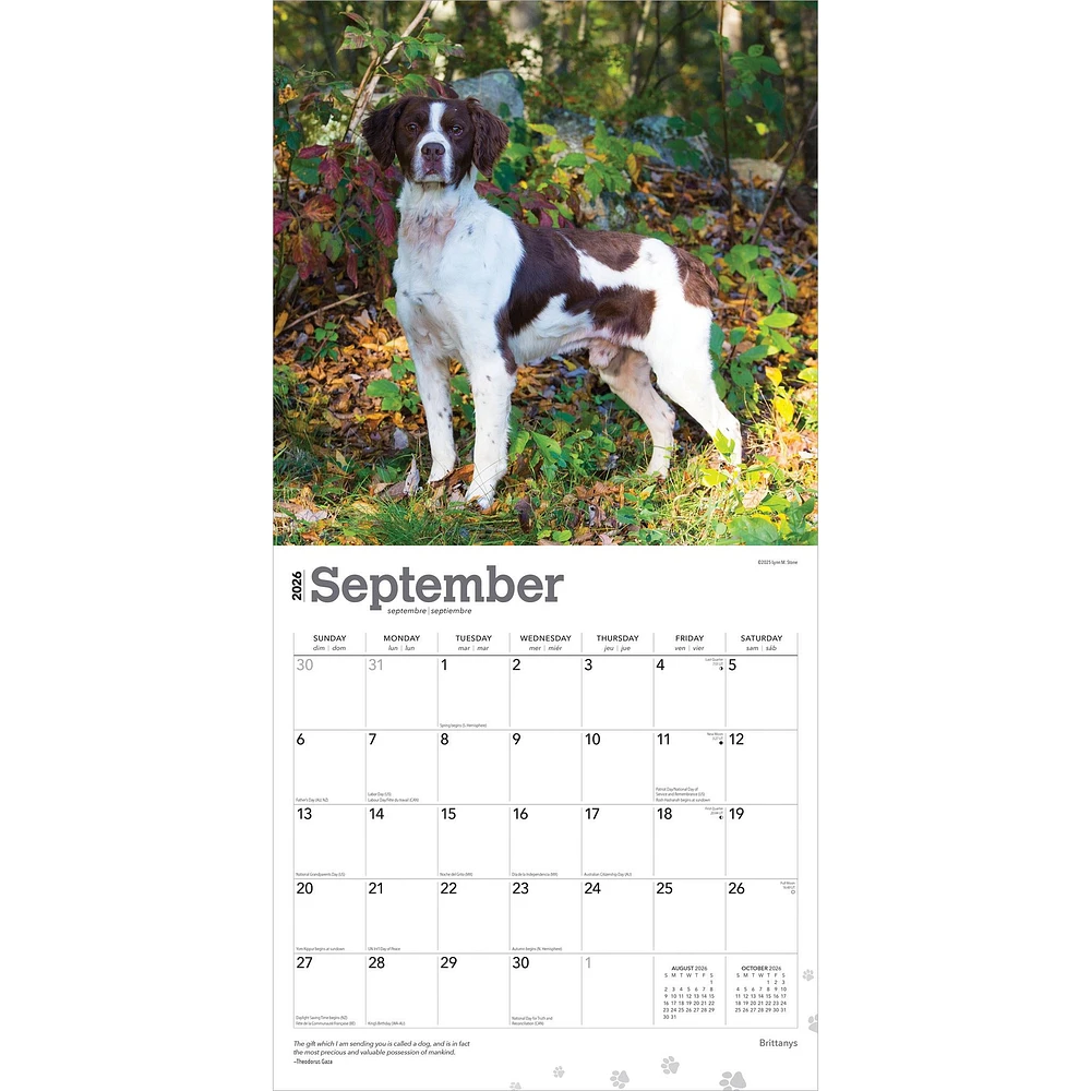 Brittanys 2026 Wall Calendar - Online Exclusive