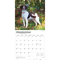 Brittanys 2026 Wall Calendar - Online Exclusive