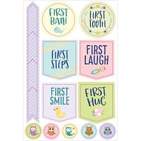 Pregnancy and Babys 1st Year Planner Stickers