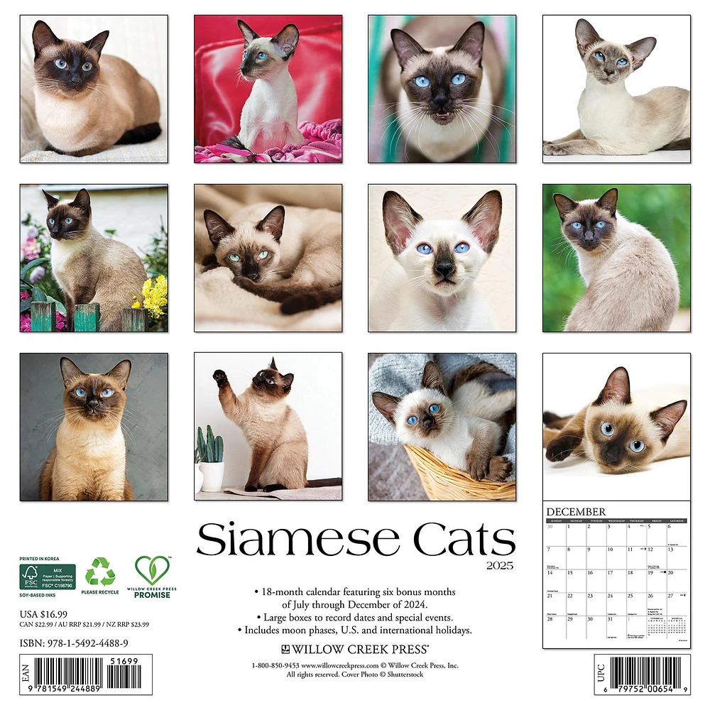 Siamese Cats Wall 2025 Calendar