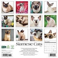 Siamese Cats Wall 2025 Calendar